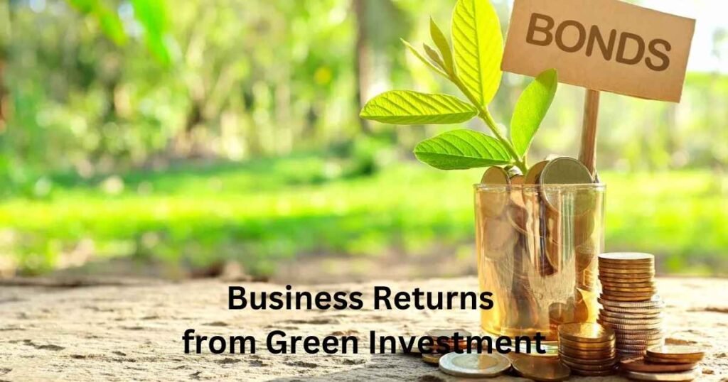 Business Returns from Green Investment